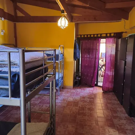 Guest house Amigos By Youroom *